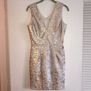 Dress The Population Sequin Dress